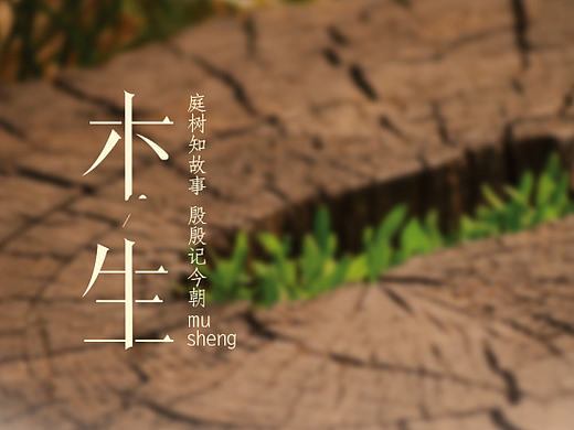 木生手机主题（个人主页-ZMTg5MTMzMTY=） - 图标 - 站酷设计师一又又又又原创素材 - 站酷ZCOOL