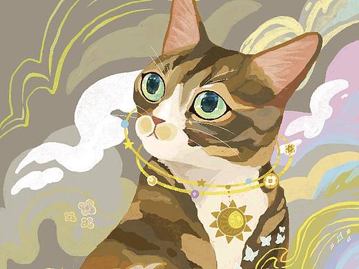 一周猫猫
