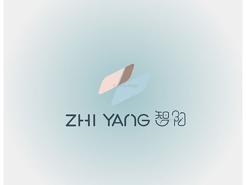 16智阳转型落地成稿