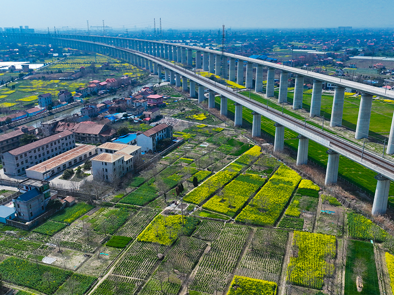 春天的气息南通_nianfei站酷ZCOOL