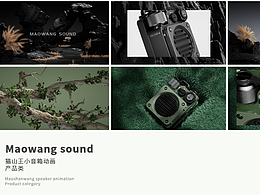 Maowang sound 小音箱