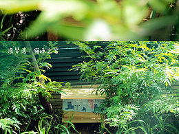 為小區(qū)流浪貓做的貓窩