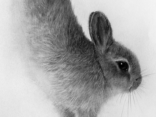 我的黑白世界 动物王国思密达（个人主页-ZMTIzMDA3ODg=） - 绘画 - 站酷设计师子小伟原创素材 - 站酷ZCOOL