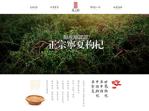中国风古风古韵枸杞首页