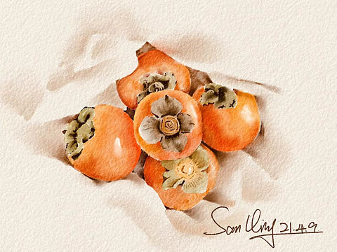 原创水彩水果（个人主页-ZNTQ4NzM2ODA=） - 创作习作 - 站酷设计师爱画画的宋先生原创素材 - 站酷ZCOOL