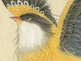 （by 老三）派格元年（2011-2012）