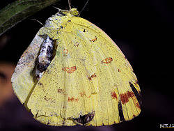 綠野蟲蹤Ⅲ（個(gè)人主頁-ZNzAxMTk2） - 風(fēng)光攝影 - 站酷設(shè)計(jì)師ninekb原創(chuàng)素材 - 站酷ZCOOL