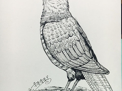 临摹大神的一张线描,还需继续努力。