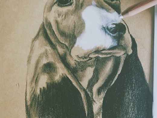 近期原创图和临摹作业