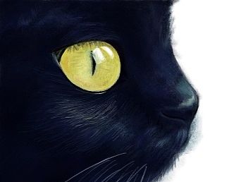 練習(xí)（個(gè)人主頁(yè)-ZMTMxMjE2OTY=） - 創(chuàng)作習(xí)作 - 站酷設(shè)計(jì)師張肥貓?jiān)瓌?chuàng)素材 - 站酷ZCOOL