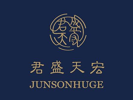 君盛天宏 logo设计