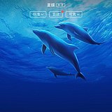 勤劳的秋天的头像