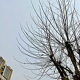 玉鹿的头像