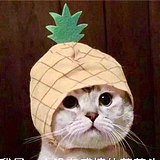 Nat_的头像