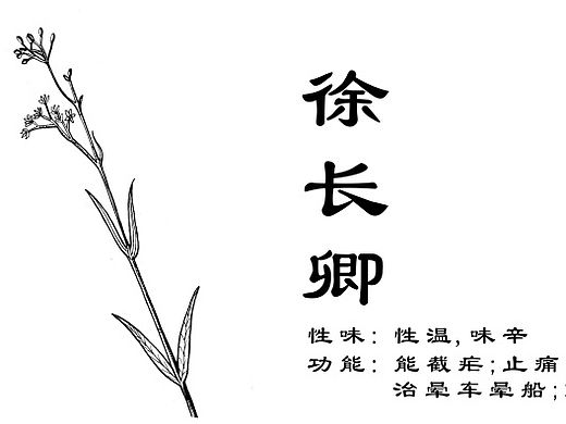 中草药手绘标示