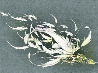 青鱼（个人主页-ZNzEwMDM1Ng==） - 艺术插画 - 站酷设计师MAOWU茅屋原创素材 - 站酷ZCOOL