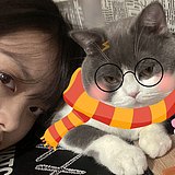 你的菠萝椰的头像
