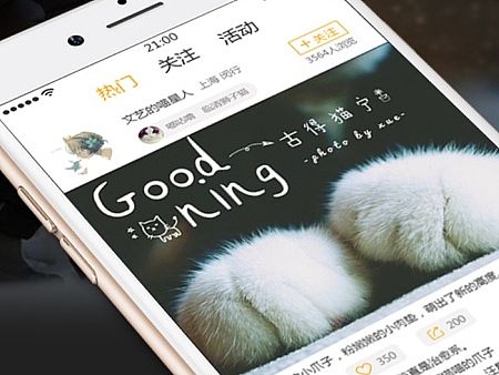 手机APP 宠物类APP 高保真原型图排版 