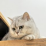 蜗牛123453的头像