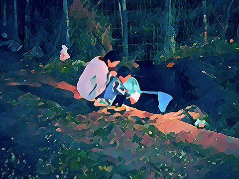 摄影转绘画尝试
