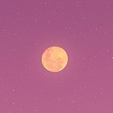 小黄香蕉的头像