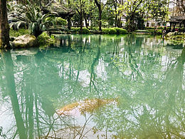 风景
