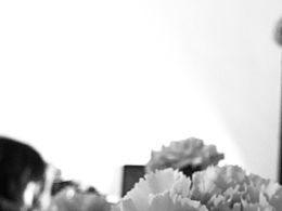 今年,那人,那花…