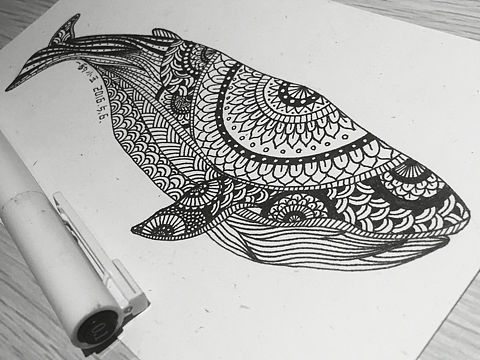 一只鯨魚（個(gè)人主頁-ZMTYzMzE2ODg=） - 創(chuàng)作習(xí)作 - 站酷設(shè)計(jì)師豹小玉原創(chuàng)素材 - 站酷ZCOOL