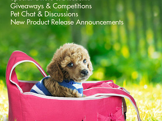 视觉设计整理（个人主页-ZMTU0OTI3Mjg=） - 宣传物料 - 站酷设计师shasha0121原创素材 - 站酷ZCOOL