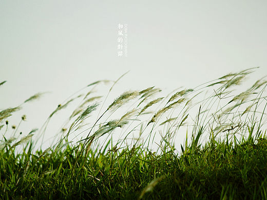 和风的对话