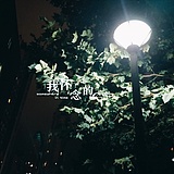 Cindy兔小白的头像