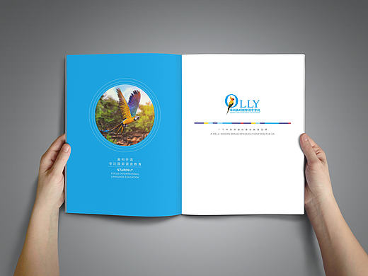 国际外语教育画册方案（个人主页-ZMTcxMDgwODg=） - 书籍/画册 - 站酷设计师今天一定不咕原创素材 - 站酷ZCOOL