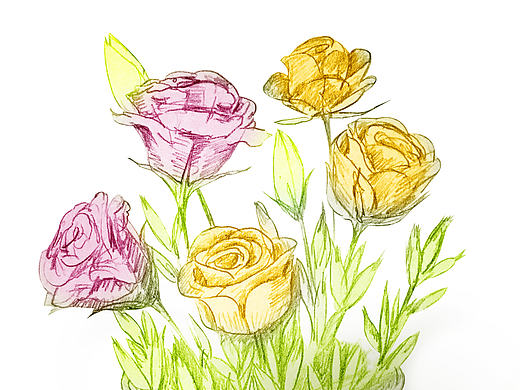 一束干花