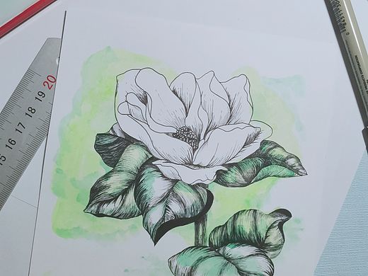 水彩花朵（个人主页-ZNDc3MzAwNTY=） - 绘画 - 站酷设计师狸榆原创素材 - 站酷ZCOOL