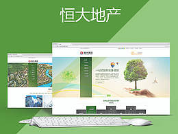 网站