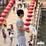 秋日吉安寺的头像