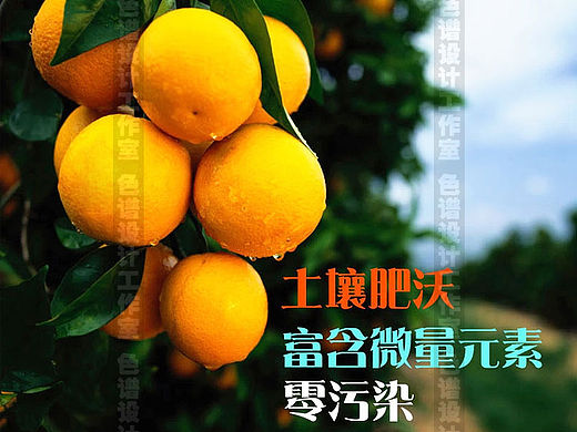 赣南脐橙