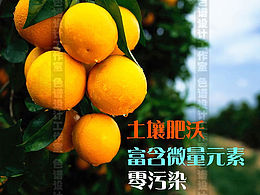 我喜欢的的的的的