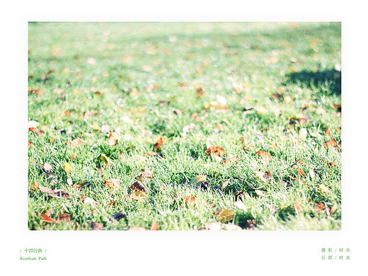 「十四行诗」· 公园一景