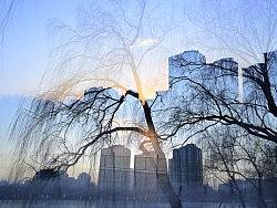 静静的重游紫竹院（个人主页-ZMzA1Mjg3Ng==） - 风光摄影 - 站酷设计师syouwa原创素材 - 站酷ZCOOL