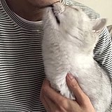 高冷辰的头像