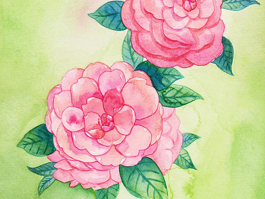 三木花草（小过程5）