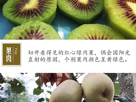 产品详情页