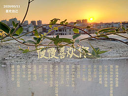 慢慢喜欢你