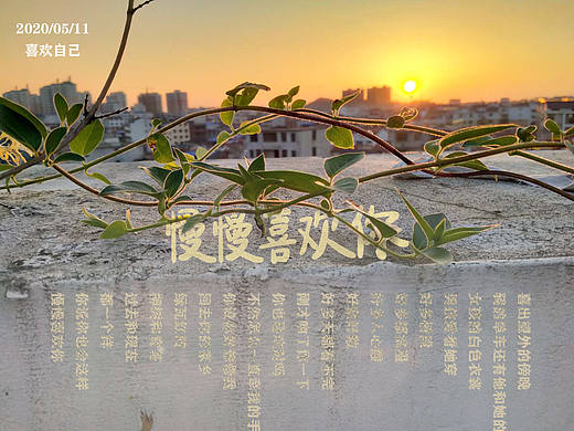 慢慢喜欢你（个人主页-ZNDQ2MTMxODQ=） - 风光摄影 - 站酷设计师依子6原创素材 - 站酷ZCOOL