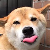 wrle的头像
