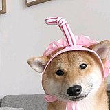 DarkEmpress的头像