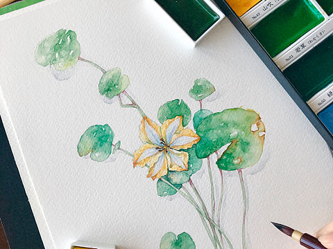 “參差荇菜，左右流之。窈窕淑女，寤寐求之?！保▊€人主頁-ZMzQ1MzY5ODA=） - 繪畫 - 站酷設計師玖陸水彩原創(chuàng)素材 - 站酷ZCOOL