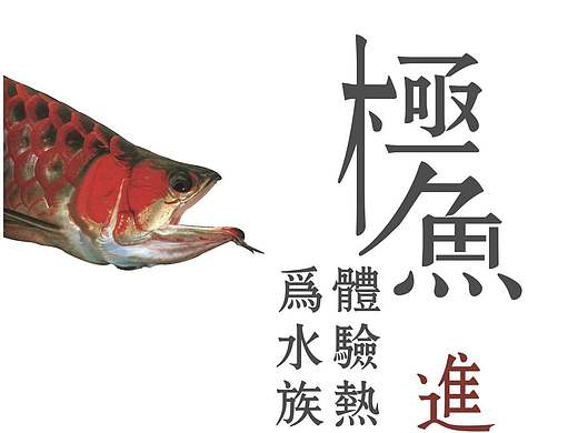 极鱼旗舰店线下宣传