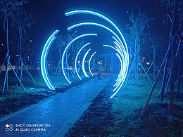 草坪-树木-亮化